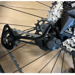 Roscoe 9 2025 - Image 2